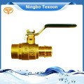 Best Manufacturers in China Thread Ends Ball Valve F1960